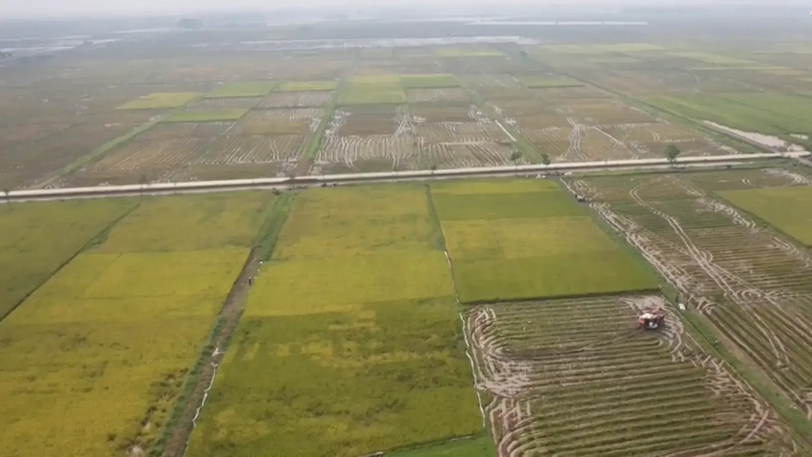 Nhiều chính sách hỗ trợ chuyển đổi sang đất ở